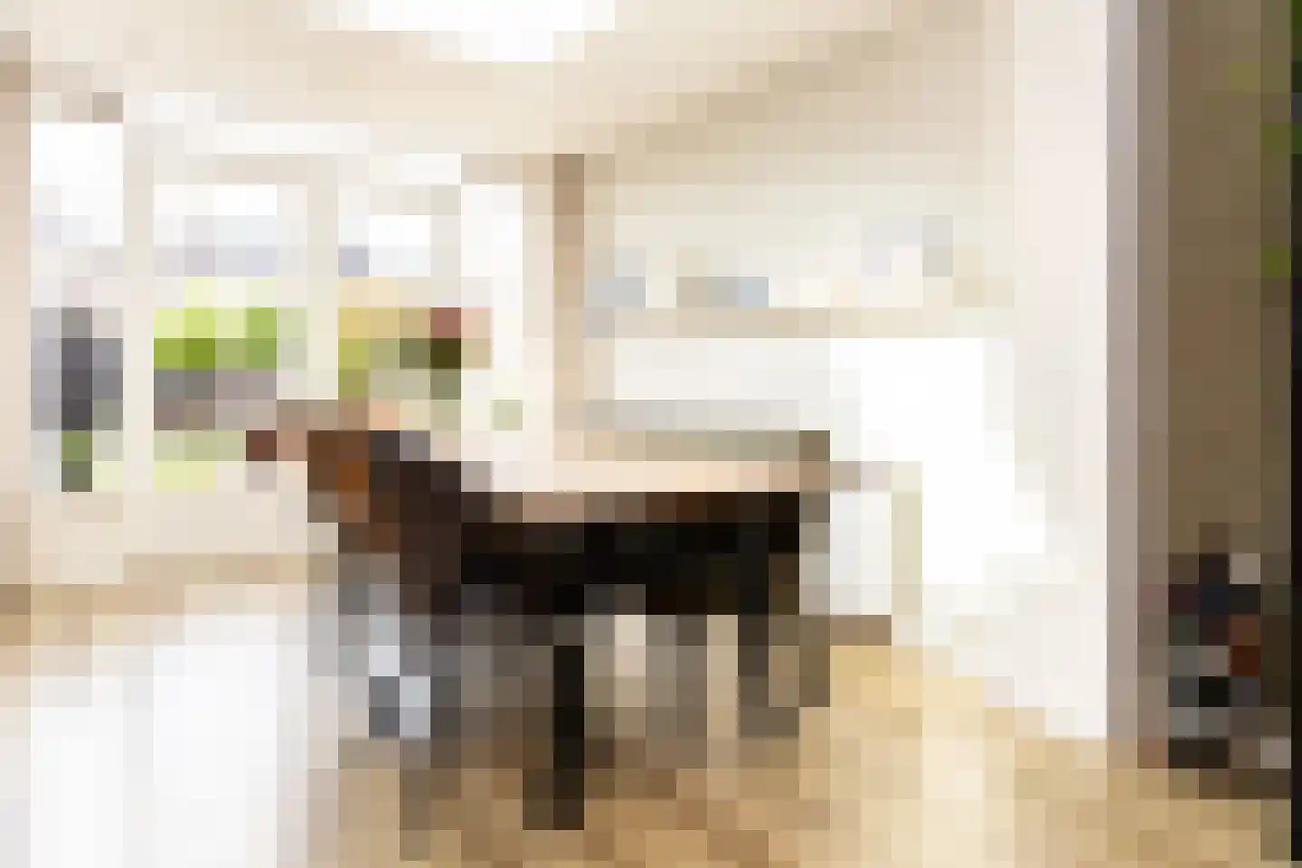 Andries Magnéelaan 14 Wognum thumbnail 22