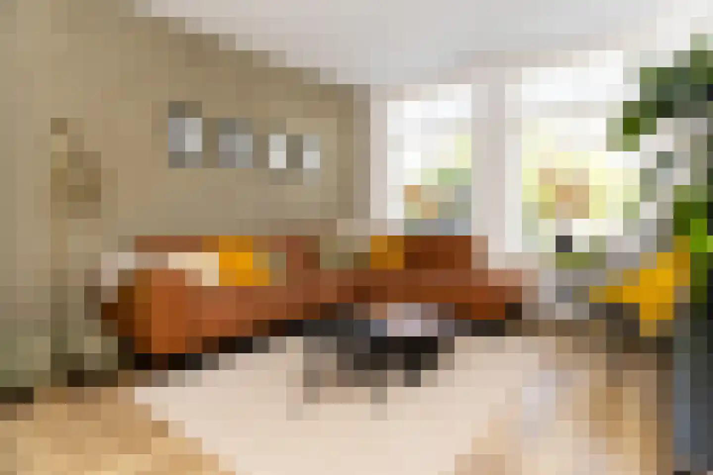 Andries Magnéelaan 14 Wognum thumbnail 9