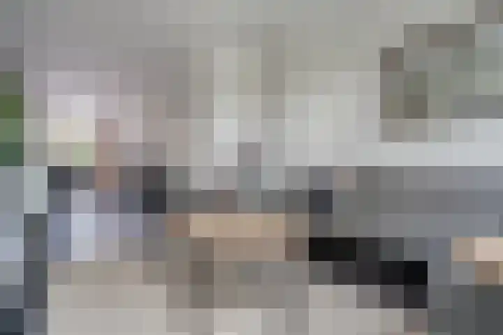 Andries Schotkade 5 Leiden thumbnail 13