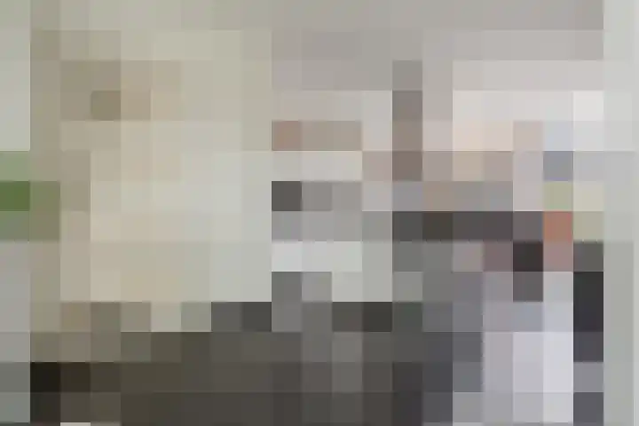 Andries Schotkade 5 Leiden thumbnail 15