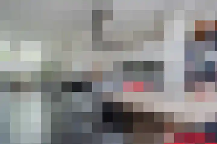 Andries Schotkade 5 Leiden thumbnail 17