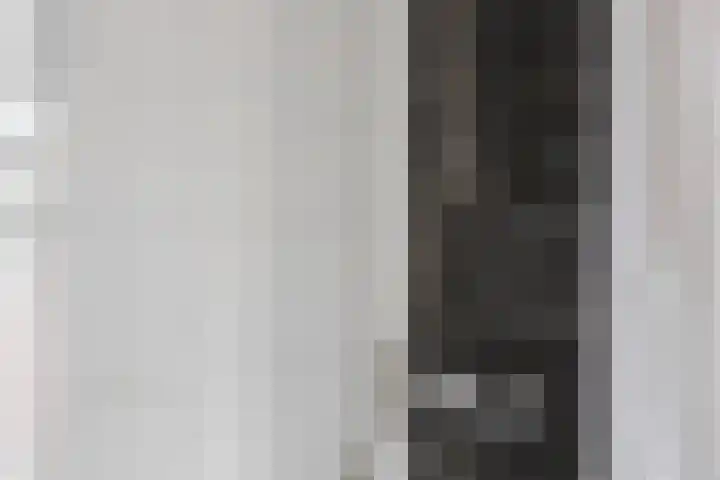 Andries Schotkade 5 Leiden thumbnail 37