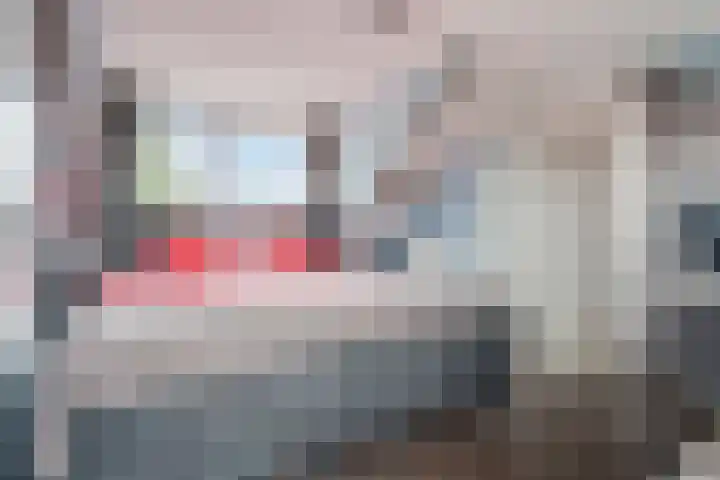 Andries Schotkade 5 Leiden thumbnail 4