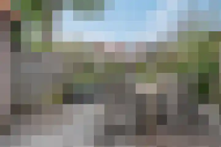 Andries Schotkade 5 Leiden thumbnail 43