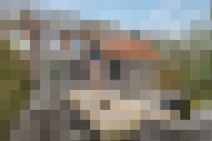 Andries Schotkade 5 Leiden thumbnail 47