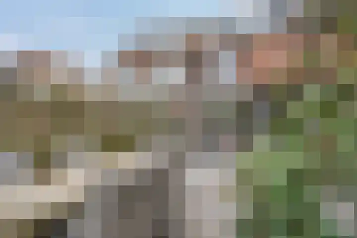 Andries Schotkade 5 Leiden thumbnail 48