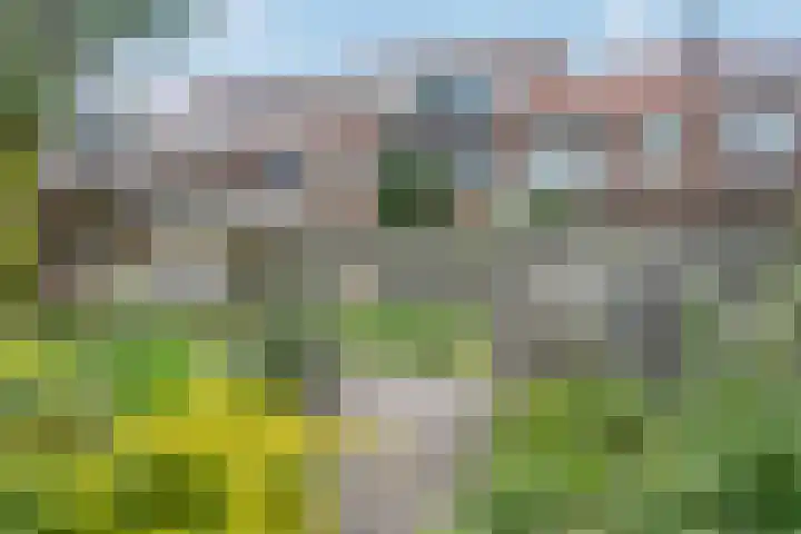 Andries Schotkade 5 Leiden thumbnail 49