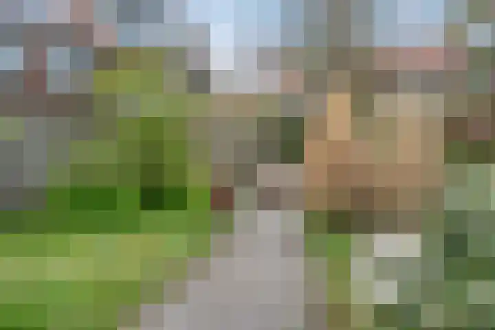 Andries Schotkade 5 Leiden thumbnail 50