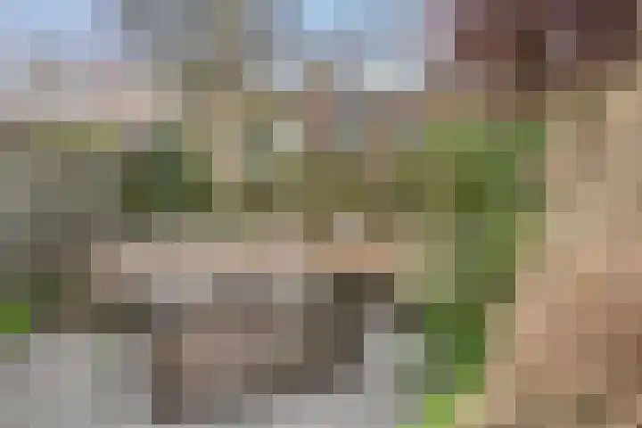 Andries Schotkade 5 Leiden thumbnail 51