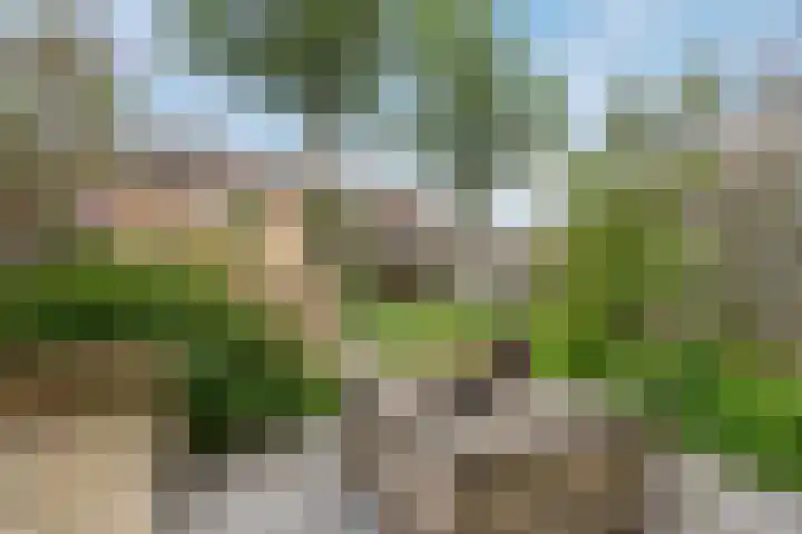 Andries Schotkade 5 Leiden thumbnail 52