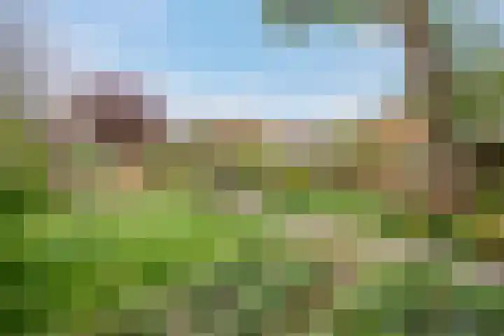 Andries Schotkade 5 Leiden thumbnail 53