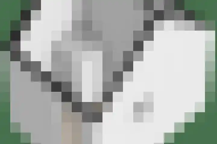 Andries Schotkade 5 Leiden thumbnail 60