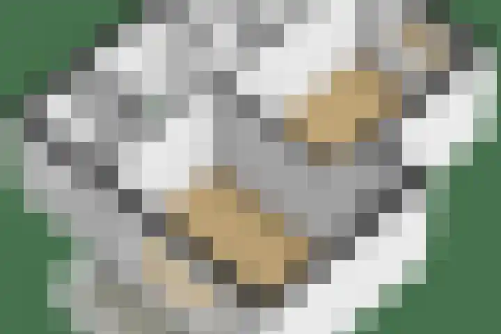Andries Schotkade 5 Leiden thumbnail 63