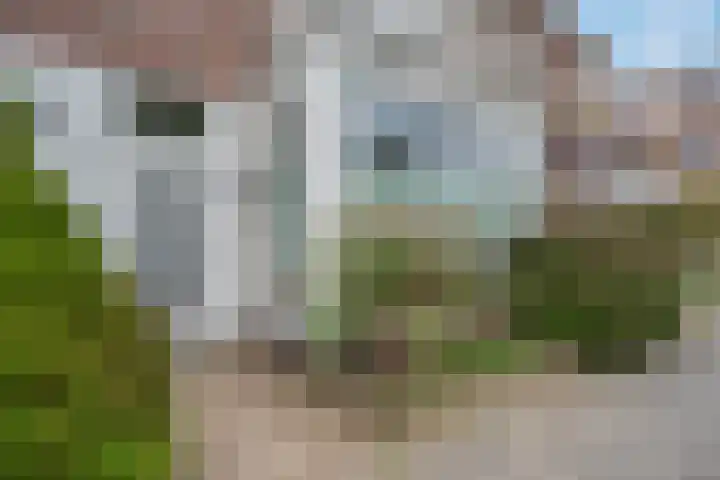 Andries Schotkade 5 Leiden thumbnail 8