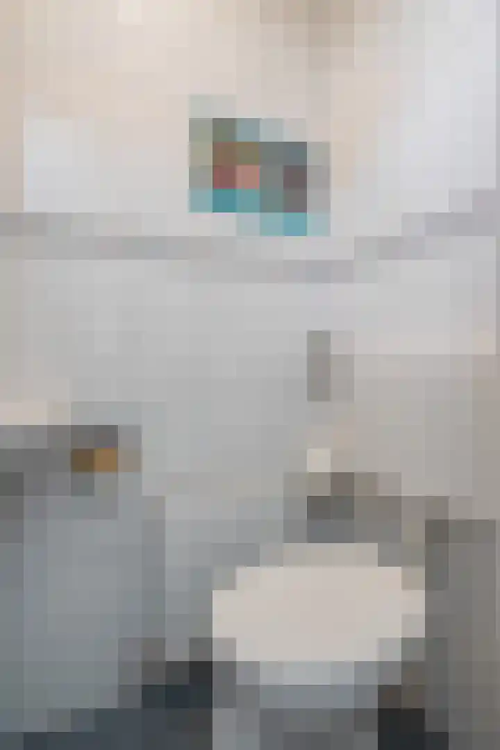 Andries Schotkade 7 Leiden thumbnail 12