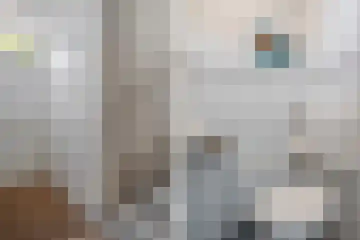 Andries Schotkade 7 Leiden thumbnail 13