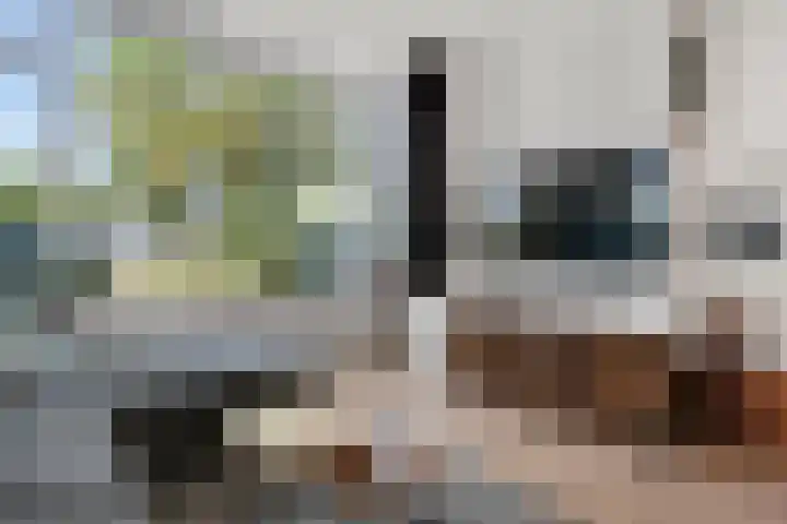 Andries Schotkade 7 Leiden thumbnail 14