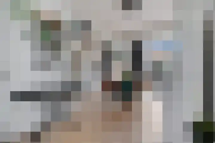 Andries Schotkade 7 Leiden thumbnail 17
