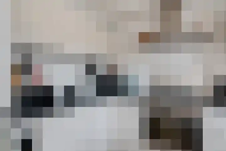 Andries Schotkade 7 Leiden thumbnail 18