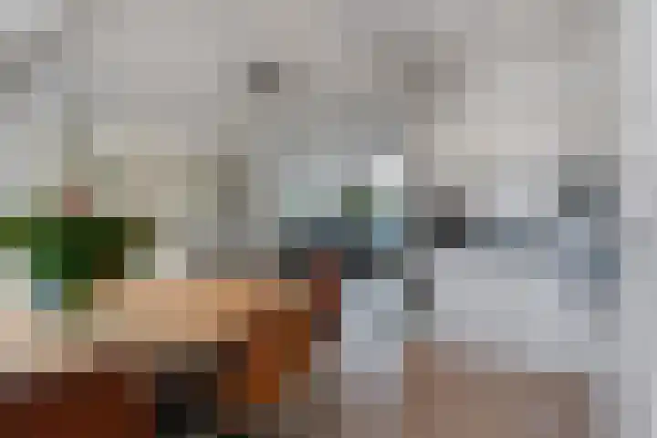 Andries Schotkade 7 Leiden thumbnail 19