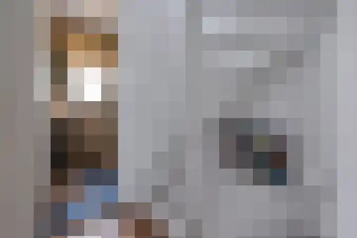 Andries Schotkade 7 Leiden thumbnail 21