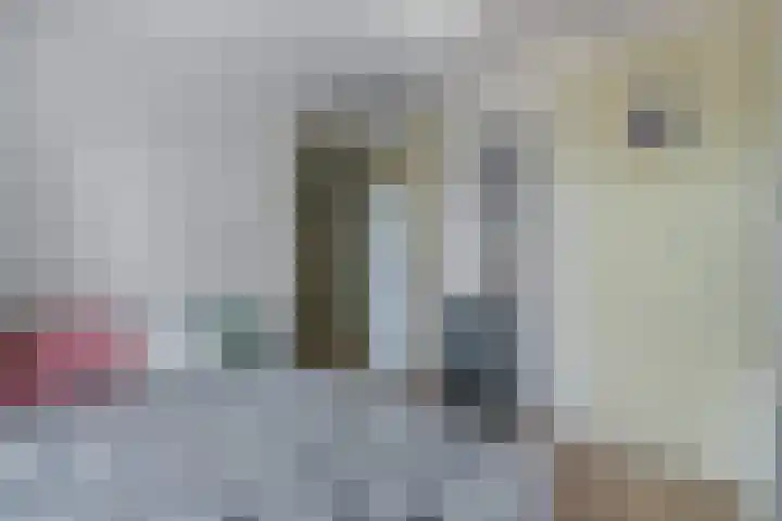 Andries Schotkade 7 Leiden thumbnail 23