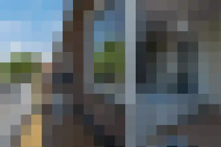 Andries Schotkade 7 Leiden thumbnail 24
