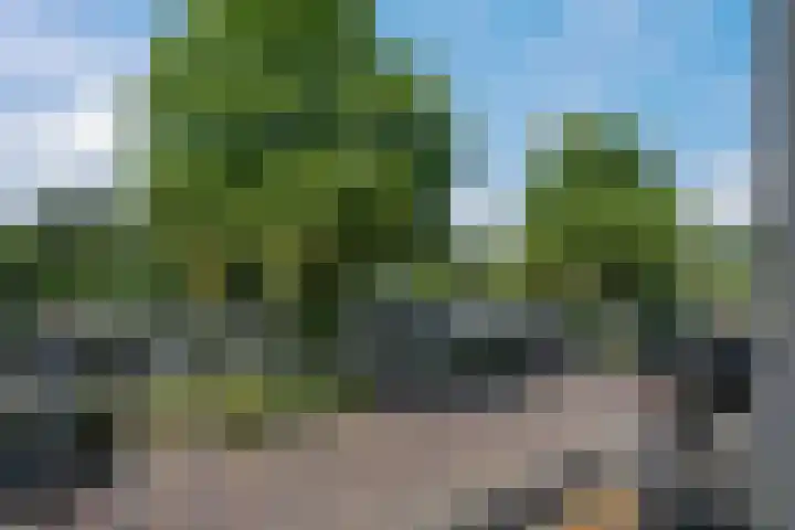 Andries Schotkade 7 Leiden thumbnail 25