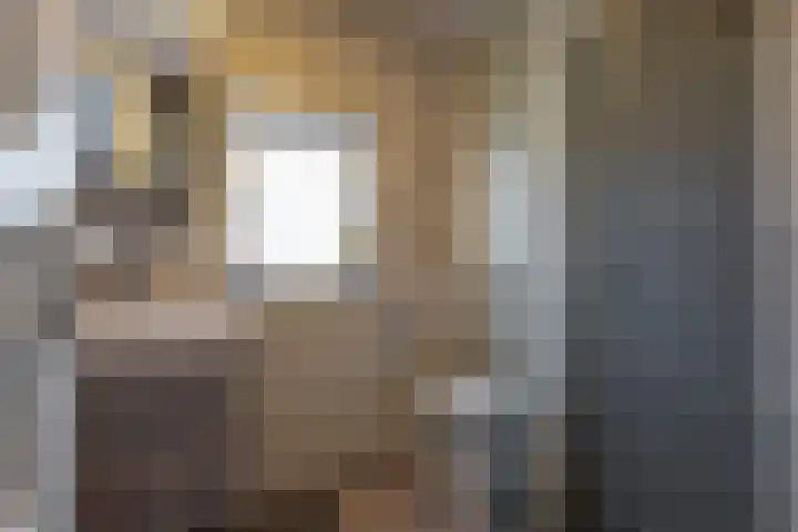 Andries Schotkade 7 Leiden thumbnail 28