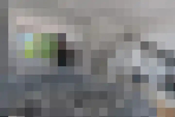Andries Schotkade 7 Leiden thumbnail 35