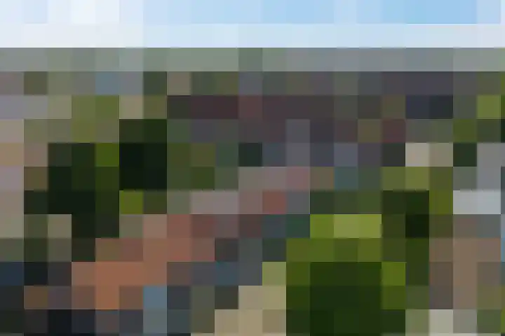 Andries Schotkade 7 Leiden thumbnail 4