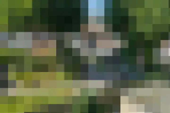 Andries Schotkade 7 Leiden thumbnail 44