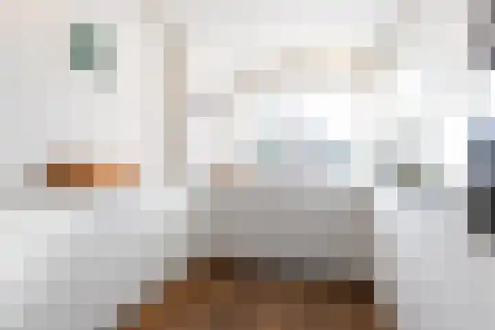 Andries Schotkade 8 Leiden thumbnail 13