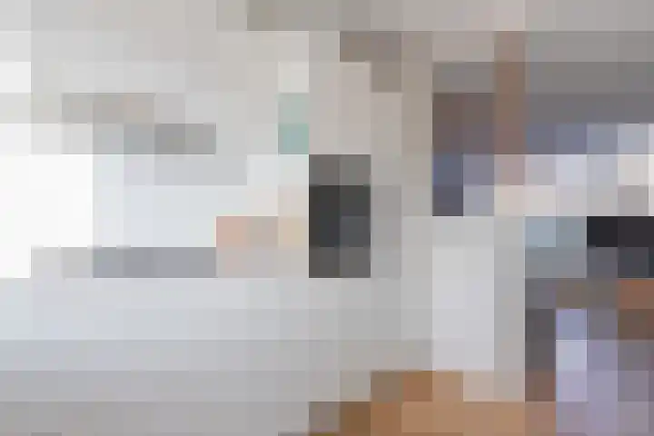 Andries Schotkade 8 Leiden thumbnail 14