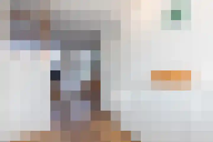 Andries Schotkade 8 Leiden thumbnail 15