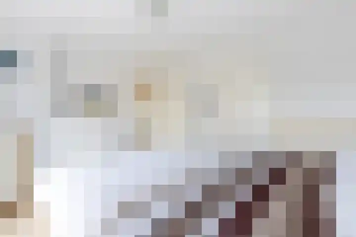 Andries Schotkade 8 Leiden thumbnail 20