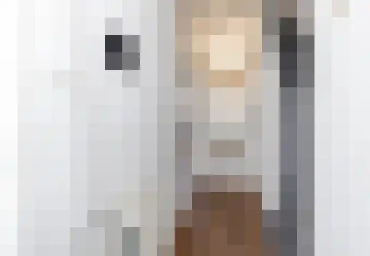 Andries Schotkade 8 Leiden thumbnail 5