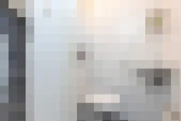 Andries Schotkade 8 Leiden thumbnail 6