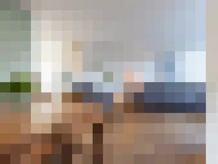 Andries Schotkade 8 Leiden thumbnail 8