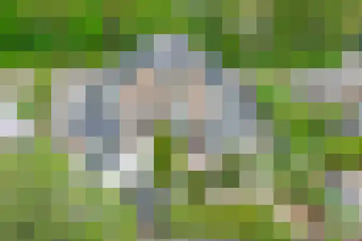 Andries van Altenalaan 52 Hooglanderveen thumbnail 16