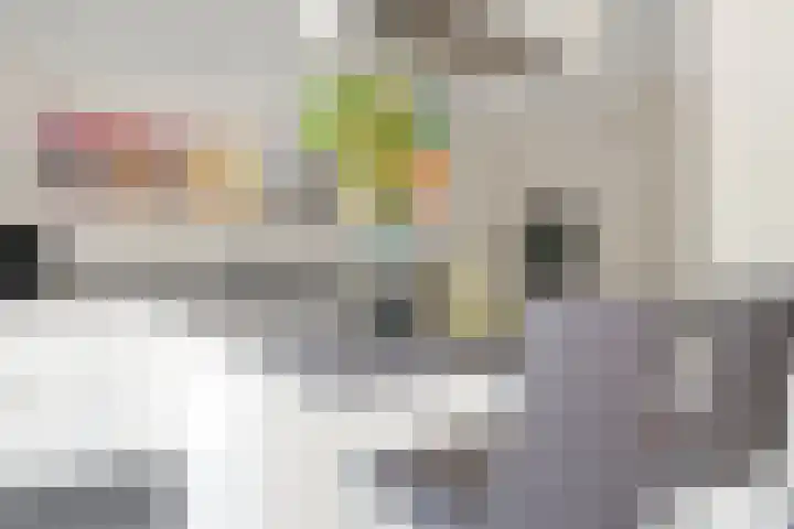 Andries van Altenalaan 52 Hooglanderveen thumbnail 23