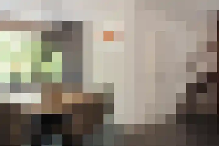 Andries van Altenalaan 52 Hooglanderveen thumbnail 26