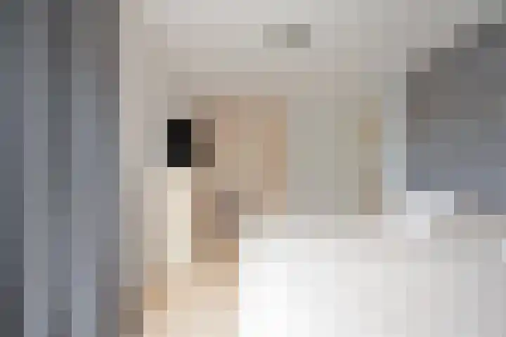 Andries van Altenalaan 52 Hooglanderveen thumbnail 30