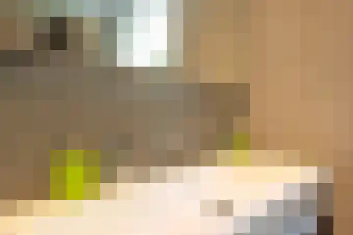 Andries van Altenalaan 52 Hooglanderveen thumbnail 35