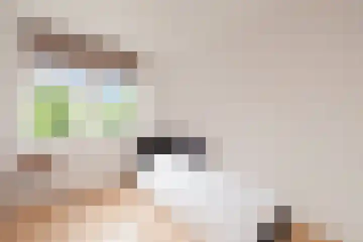 Andries van Altenalaan 52 Hooglanderveen thumbnail 37