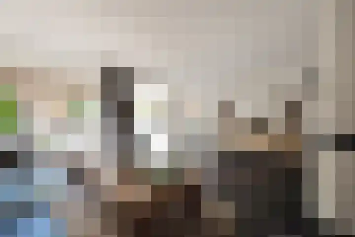 Andries van Altenalaan 52 Hooglanderveen thumbnail 4