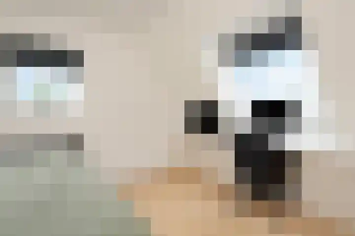 Andries van Altenalaan 52 Hooglanderveen thumbnail 41