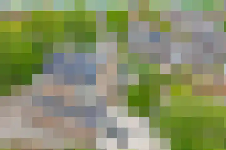 Andries van Altenalaan 52 Hooglanderveen thumbnail 48