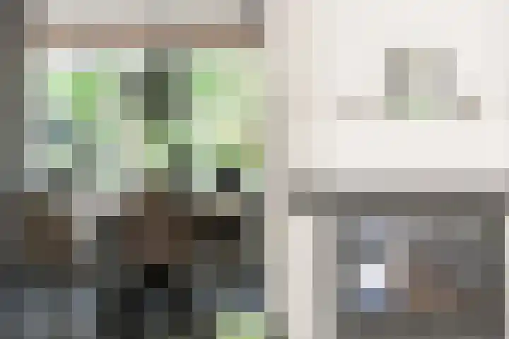 Andries van Altenalaan 52 Hooglanderveen thumbnail 6