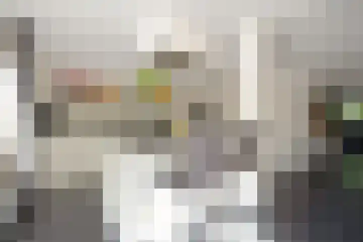 Andries van Altenalaan 52 Hooglanderveen thumbnail 7